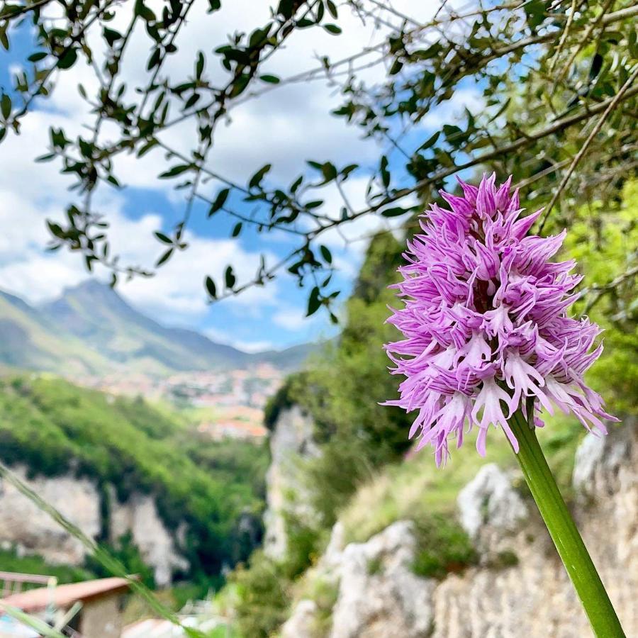 Dafne Holiday Agerola Extérieur photo